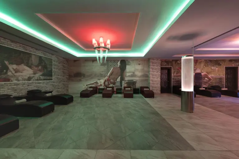 Spa &amp; Wellness